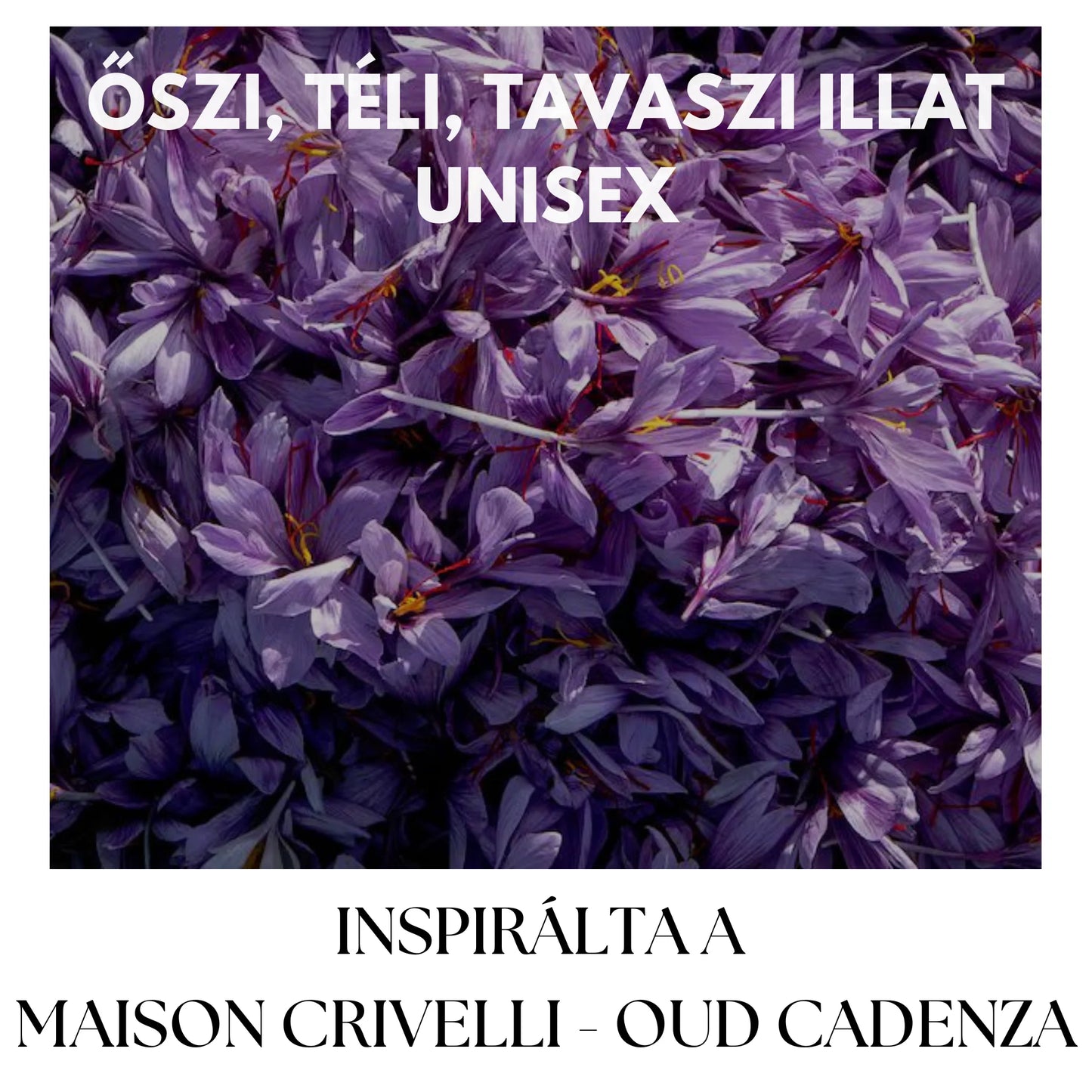 PURPLE COCOA
