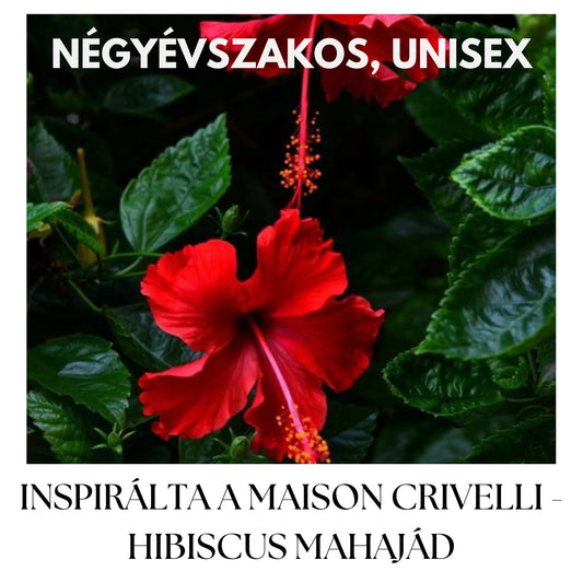 HIBISCUS MAGIC