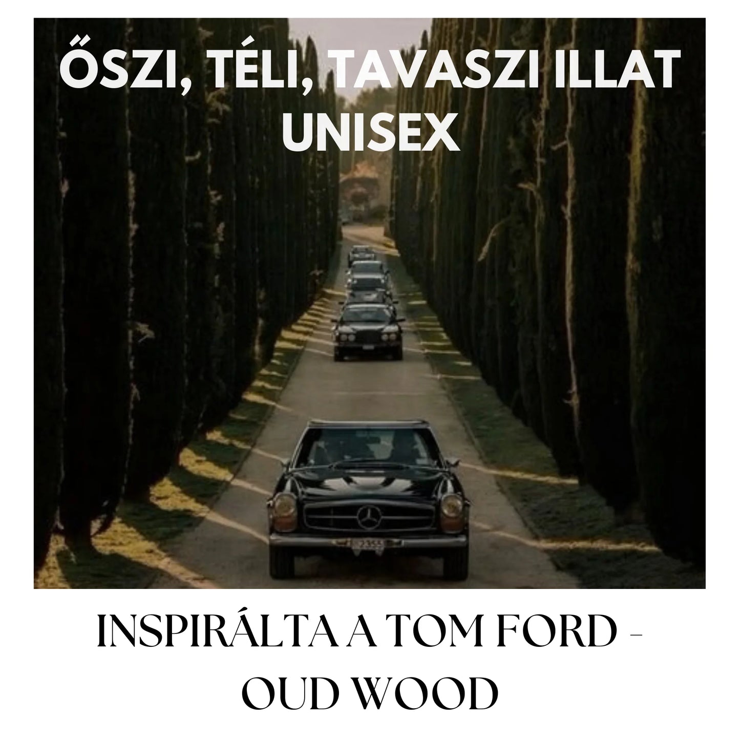 DARK AOUD