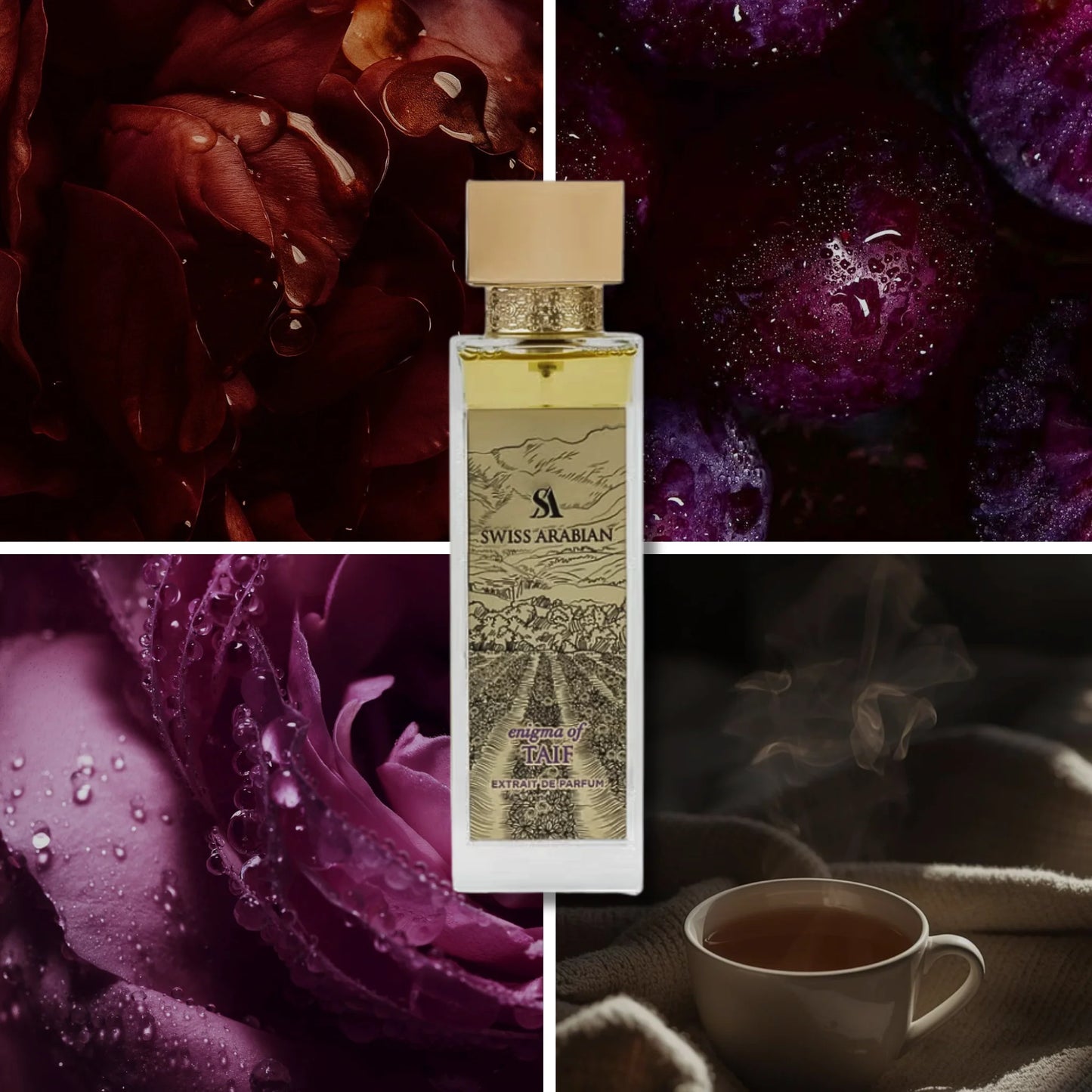 SWISS ARABIAN ENIGMA OF TAIF EXTRAIT - 100 ML